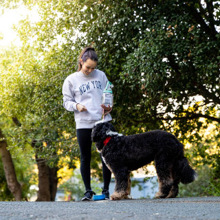 Gourde à partager avec son chien